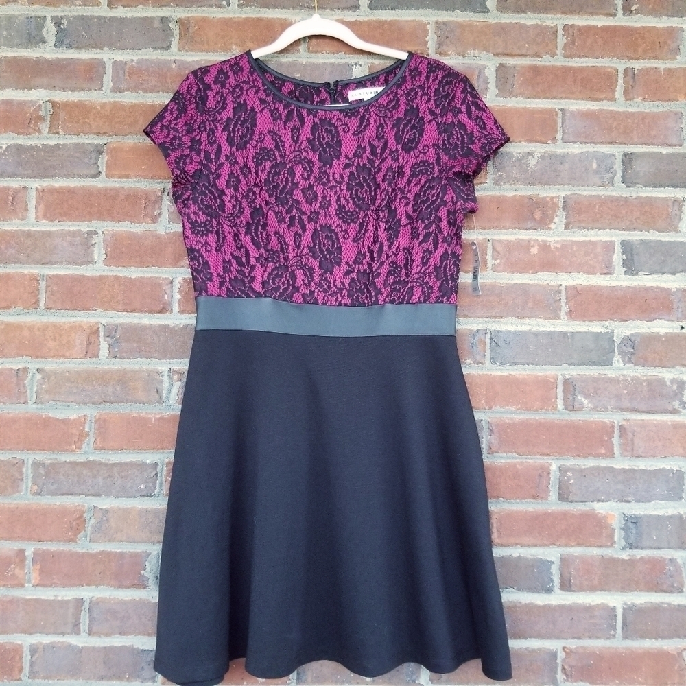 AA Studio Dress 10P Petite Fit & Flare Magenta & Black Lace Gothic Cosplay